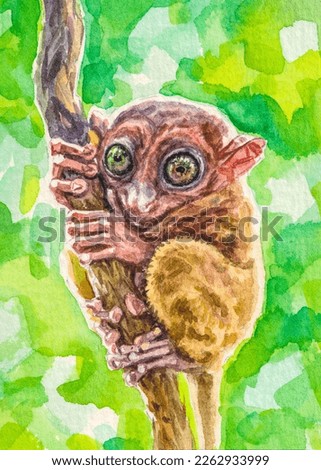 Tarsiers are haplorhine primates of the family Tarsiidae. Madagascar tarsier. Wild animals. Watercolor painting. Acrylic drawing art. A piece of art