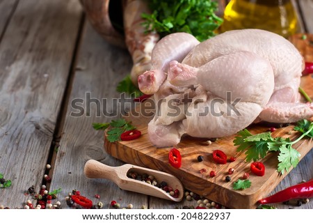 Raw chicken with spices and cilantro ready to be prepared. Copy space background.