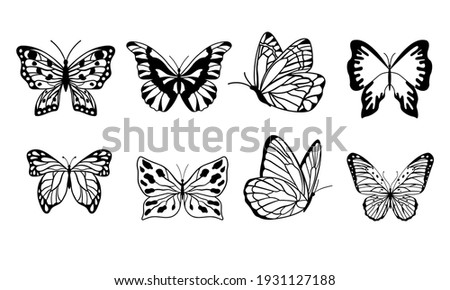 set of butterflies isolated on white background in vector format very easy to edit, individual objects