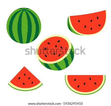 Fresh and juicy whole watermelons and slices. Set illustrations isolated on a white background.