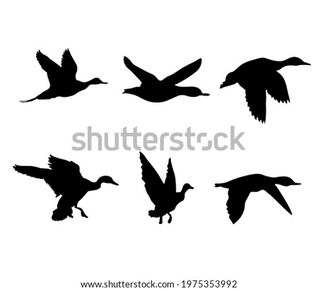 Flying Duck Silhouette | Free download on ClipArtMag