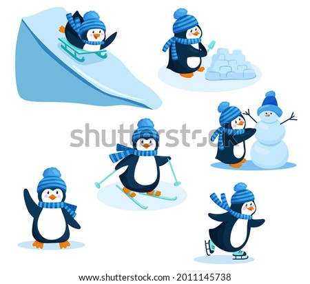 Activity in winter. Penguin vector illustration set. A collection of cartoon characters of a cute penguin. Go skating, skiing, sledding from the mountain. Make a snowman and a snow castle