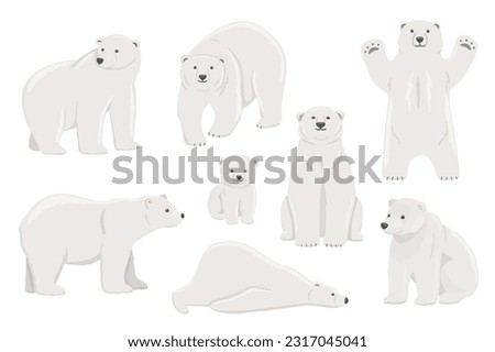 White polar bear stands on paws, lying. Baby White polar bear set. Flat vector illustration of North animal.