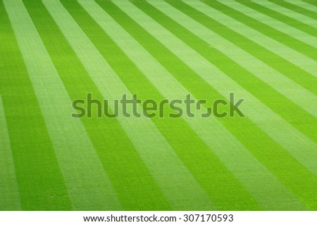 green football field grass background