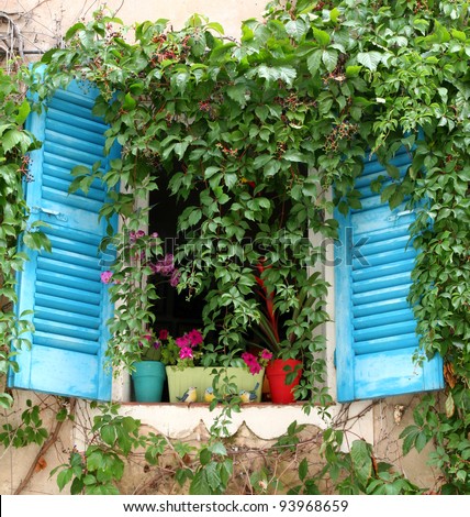 Ivy covered window with blue shutters. Plantpots and plastic birds on window ledge show idea of gentle decay and overgrown home.