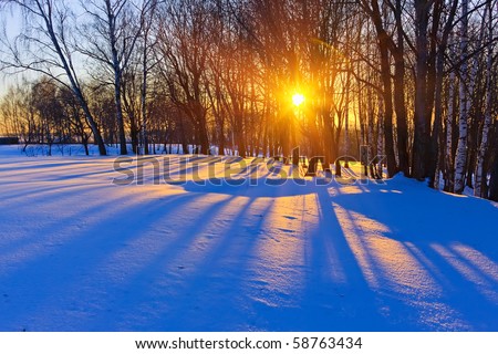 Beautiful sunset in a winter forest, Russia