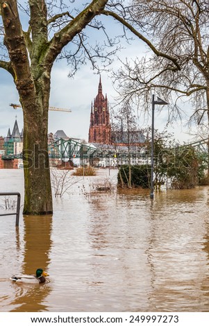 FRANKFURT- JANUARY 15 2011: Flood in Frankfurt am Main due to extremely high water in Main river.