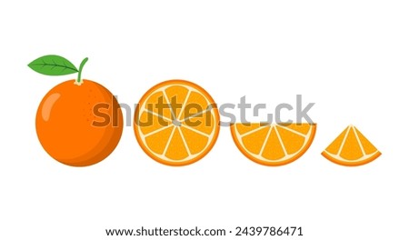 Orange fruit. Oranges that are segmented on a white background in a flat vector style