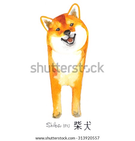 Shiba Inu Dog painted with watercolors on white background. Japanese red dog, Shiba Inu, colored drawing ink.