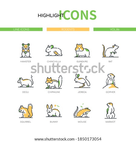 Rodents - modern line design style icons set. A collection of wild and domestic animals, pets. Hamster, chinchilla, guinea pig, rat, degu, chipmunk, jerboa, gopher, squirrel, bunny, mouse, marmot