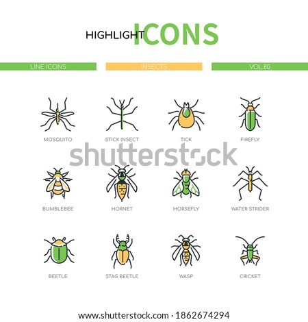 Insects collection - modern line design style icons set on white background. Images of mosquito, stick insect, tick, firefly, bumblebee, hornet, horsefly, water strider, stag beetle, wasp, cricket