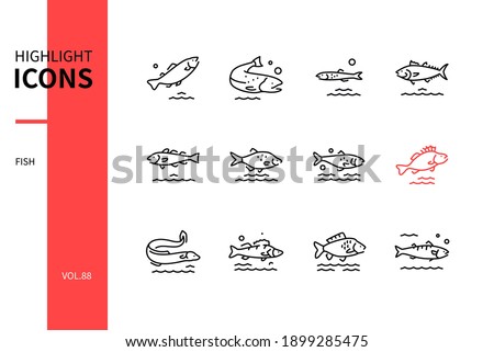 Fish - modern line design style icons set on white background. A collection of animals. Trout, salmon, anchovy, tuna, cod, bream, herring, eel, pike perch, carp, mackerel species images