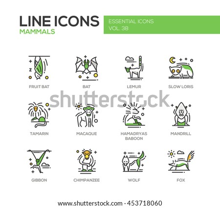 Mammals - set of modern vector line design icons and pictograms of animals. Bat, lemur, slow loris, tamarin, macaque, hamadryas baboon, mandrill, gibbon, chimpanzee, wolf fox