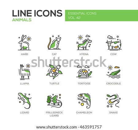 Animals - set of modern vector line design icons and pictograms