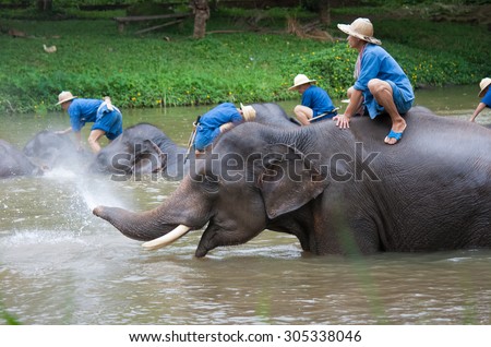LAMPANG, THAILAND - MAR. 26: Daily elephants bath at The Thai Elephant Conservation Center (TECC), mahouts bathe and clean the elephants in the the river , March 26, 2006 in Lampang, Thailand.