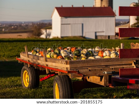 Fall harvest of pumpkins and gourds in wagon with farm in background