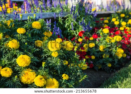 Colorful flower bed against rail fence and green grass background.