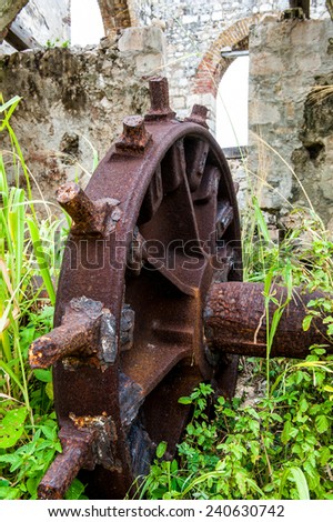Old rusted wheel in weeds in Jamaica.
