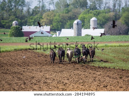 Young amish boy operating a horse drawn plow in the fields of rural Lancaster County Pennsylvania.