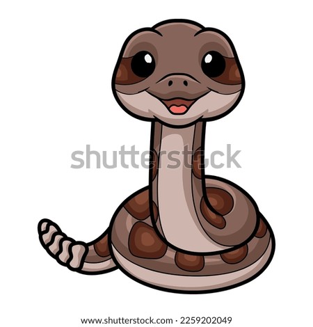Cute rattlesnake cartoon on white background