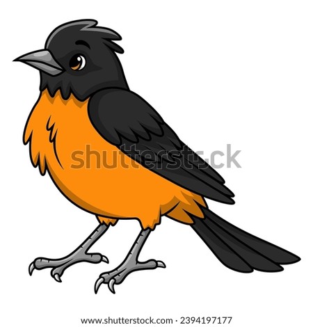 Cute baltimore oriole bird cartoon on white background