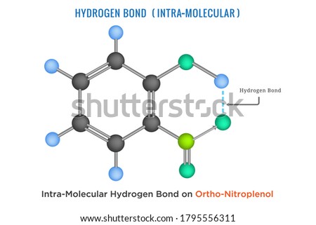 Hydrogen Bond. Intra molecular Hydrogen Bond in Ortho Nitrophenol. Hydrogen bridge bond in Ortho Nitrophenol 