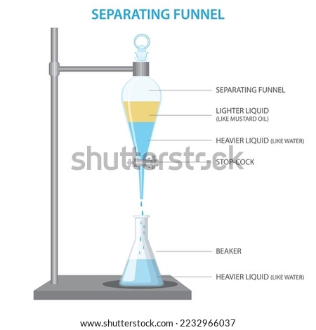 separating funnel laboratory glassware used in liquid-liquid extractions to separate or partition the components of a mixture into two immiscible solvent phases of different densities. 