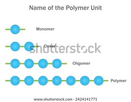 Polymer units like monomers, dimers, and oligomers are building blocks forming larger polymer chains with distinct properties.