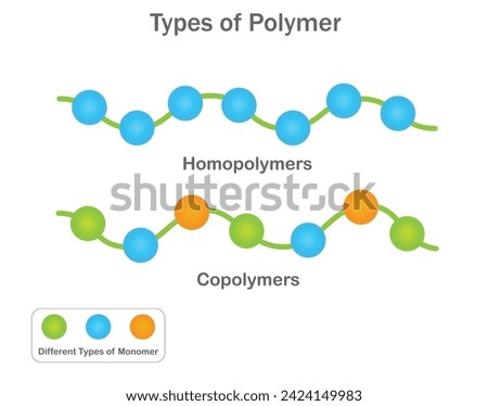 Homopolymers consist of identical monomers, while copolymers combine different monomers for diverse material properties.