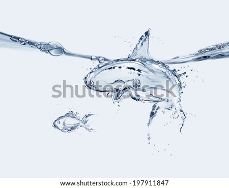 A shark made of water swimming in a menacing way, preparing to eat a water fish.