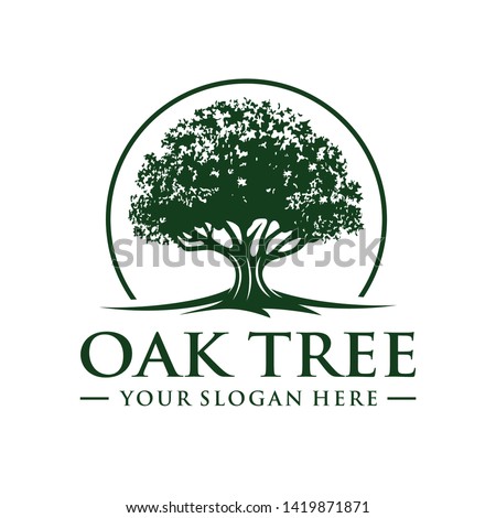 Oak tree logo template vector ストックフォト © 