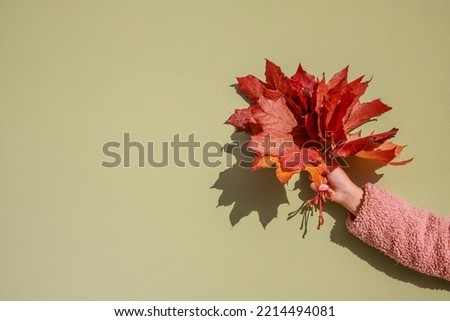Similar – Image, Stock Photo Hand holding an autumn leaf