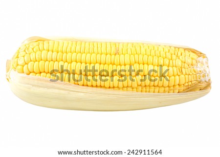Fresh raw corn cobs on the white background