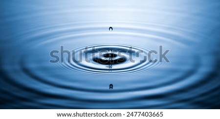 Similar – Image, Stock Photo Drops of water and water jet from watering can fall on grass