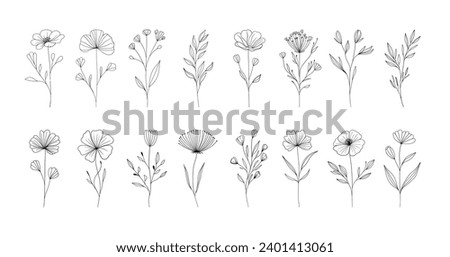 Minimalist linear flowers. Doodle elegant floral elements, nature botanical leaves branches, fine line tattoo sketch. Vector set
