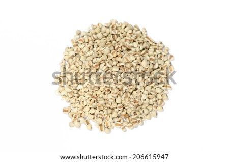 chinese pearl barley, job\'s tears,traditional chinese herbal isolated on white background