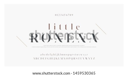 Elegant alphabet letters font set. Classic Custom Lettering Designs for logo, Poster. Typography fonts classic style, regular uppercase, lowercase and number. vector illustration