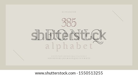 Elegant alphabet letters serif font and number. Classic Lettering Thin Line Minimal Fashion. Typography thin line fonts uppercase, lowercase and numbers. vector illustration