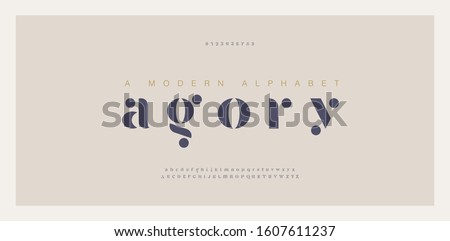 Elegant awesome alphabet letters font and number. Classic Lettering Minimal Fashion Designs. Typography fonts regular uppercase and lowercase. vector illustration ストックフォト © 