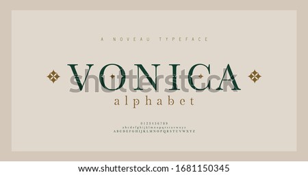 Elegant alphabet letters serif font and number. Classic Lettering Minimal Fashion. Typography fonts regular uppercase, lowercase and numbers. vector illustration