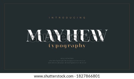 Luxury alphabet letters font. Classic Modern Lettering Minimal Fashion Designs. Typography fonts regular uppercase and lowercase. vector illustration