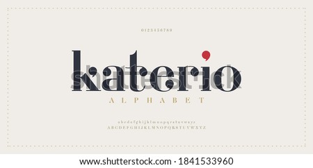 Elegant alphabet letters font. Classic Modern Serif Lettering Minimal Fashion Designs. Typography  decoration fonts for branding, wedding, invitations, logos. vector illustration Photo stock © 