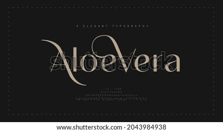 Elegant alphabet letters font and number. Classic Lettering Minimal Fashion Designs. Typography modern serif fonts regular decorative vintage concept. vector illustration