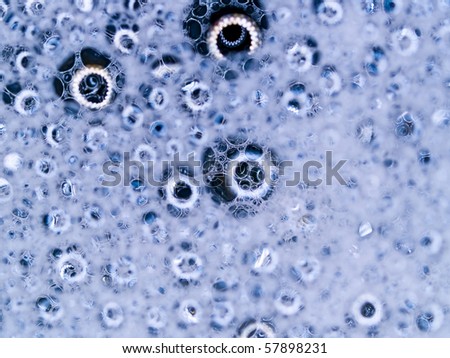 Soap bubbles with reflections macro with blue colored background