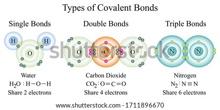 Illustration of chemistry. Three types of covalent bonds including single, double, and triple bonds. Shared electrons Water, Carbon dioxide, and Nitrogen. Educational Vector is on white background.  
