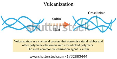 Illustration of chemical. Vulcanization is the process of synthetic rubber or similar plastic material chemically to give it useful properties. The Most common vulcanization agent is sulfur.