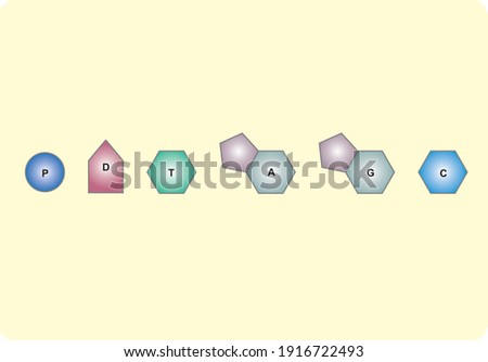 Representation of structures found in nucleotides with symbols science lesson Stok fotoğraf © 