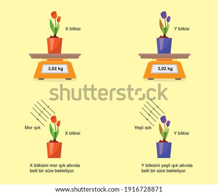 change of photosynthesis under light pot and flower science lesson Stok fotoğraf © 