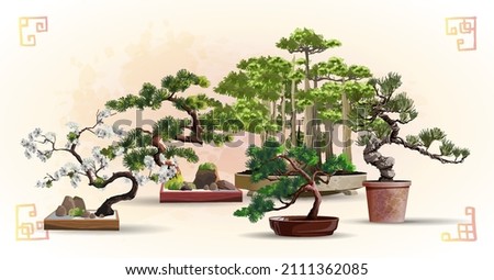 Set of bonsai Japanese trees grown in containers. Beautiful realistic tree. Tree in bonsai style. Bonsai tree on the red box. Decorative little tree vector illustration. Nature art