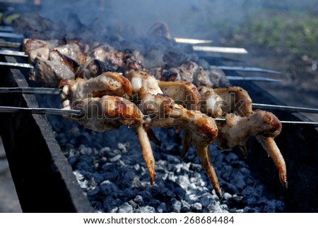 The meat on the grill. Food. Chicken wings on skewers.
